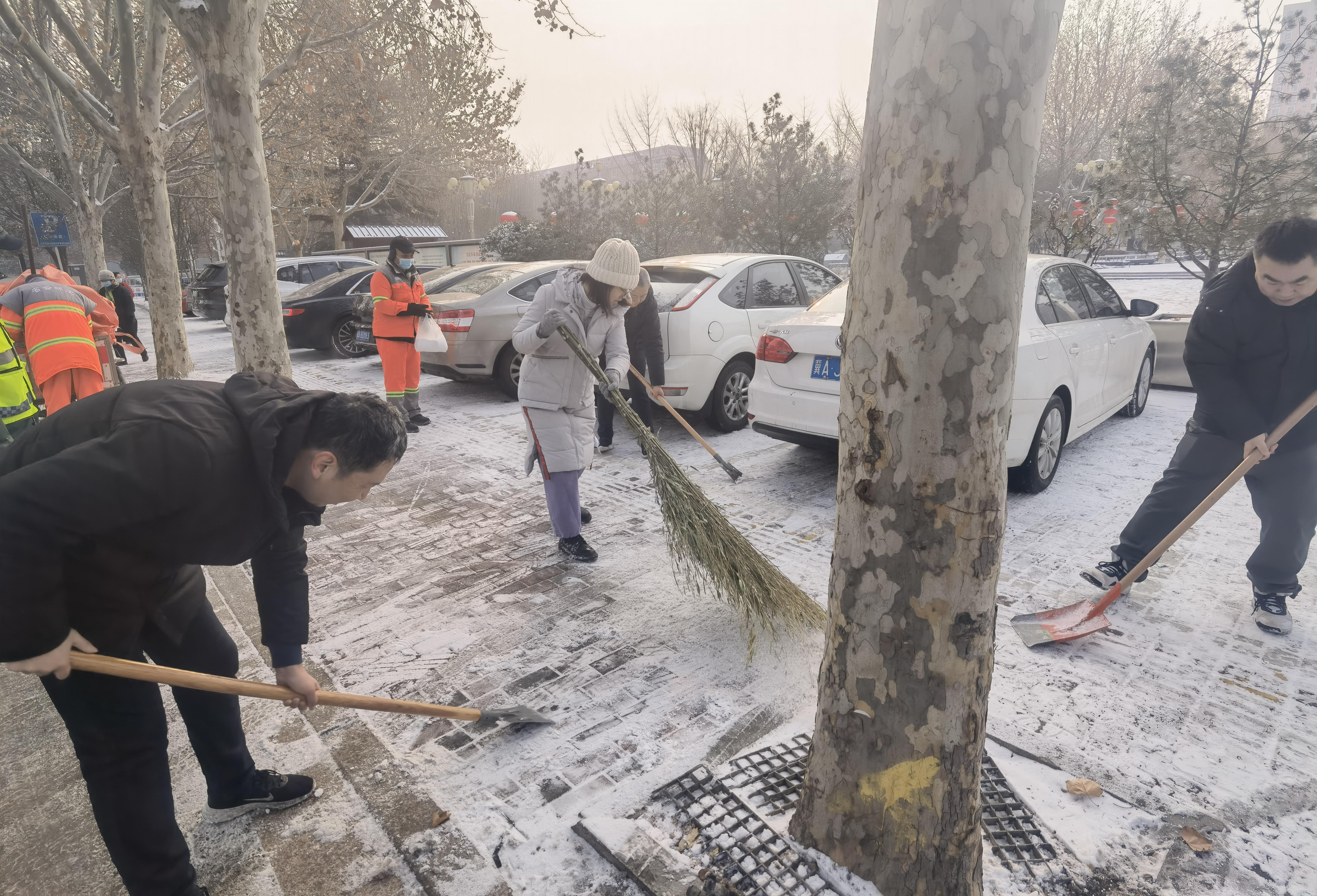 扫雪除冰 便民护行——省社科院组织党员干部开展清雪除冰志愿活动